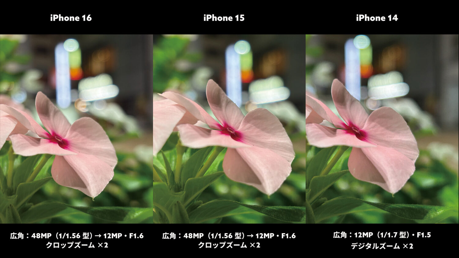 iPhone 16 / 15 / 14 広角 玉ボケ感を比較
