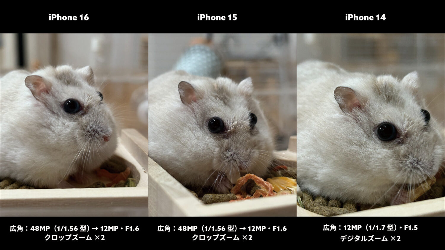 iPhone 16 / 15 / 14 広角カメラ ハムさんを比較