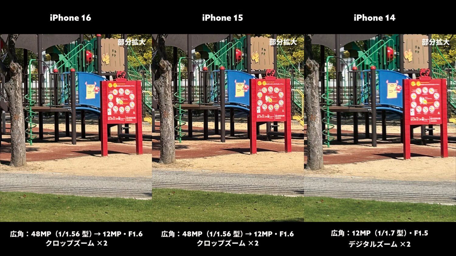 iPhone 16 / 15 / 14 広角×2（公園）部分拡大